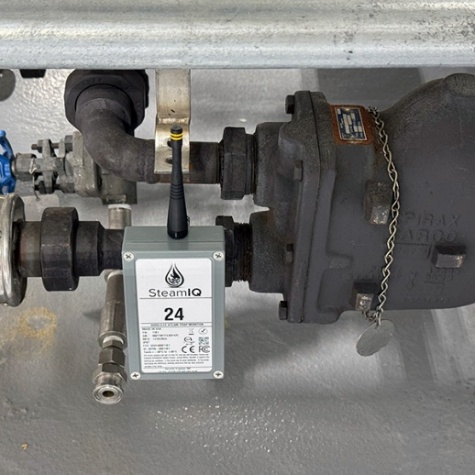 SteamIQ monitor installed beside an industrial steam trap